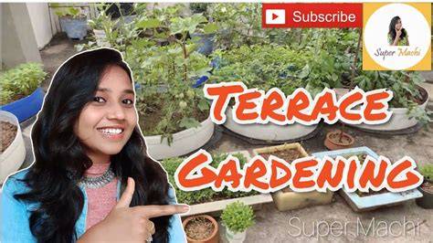 Terrace Gardening Methods and Implementation - JETIR - raincitystudios.com