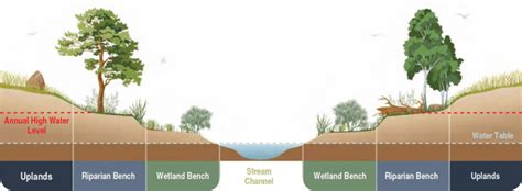 Terraced/Natural Channel Design - raincitystudios.com