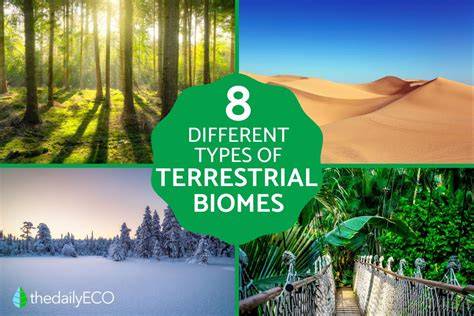 Terrestrial biomes (article) | Khan Academy - raincitystudios.com