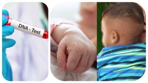 Tes Dna Anak - wintechmobiles.com