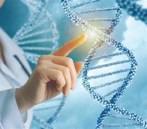 Tes Genomik - Prodia - wintechmobiles.com