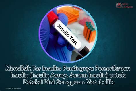 Tes Insulin - Tujuan, Hasil, Kisaran Normal, dan lainnya - muktibox.com
