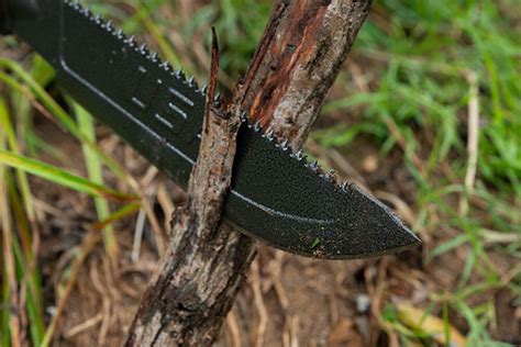 Tested: The Best Machetes For Clearing Brush - balustradellc