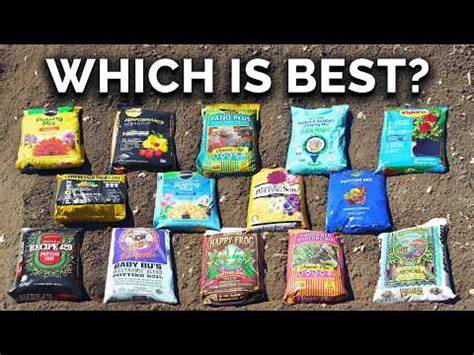 Testing Popular Potting Mixes: Our Surprising Results - raincitystudios.com