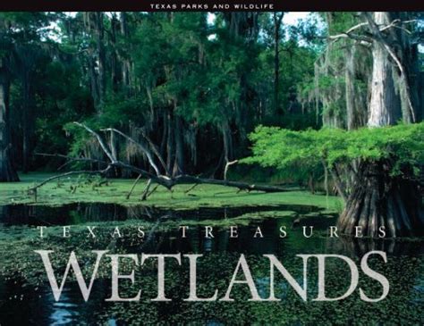 Texas Treasures: Wetlands - muktibox.com