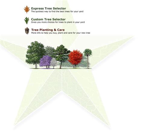 Texas Tree Selector - raincitystudios.com