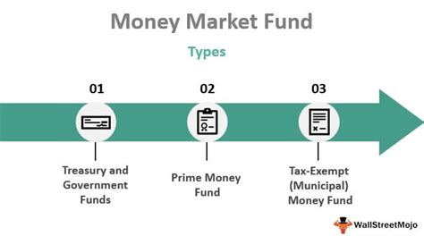 TEXT-Fitch affirms Williams Capital Government Money Market Fund