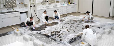 Textiles and Fabrics: Conservation and Preservation - Springer - muktibox.com