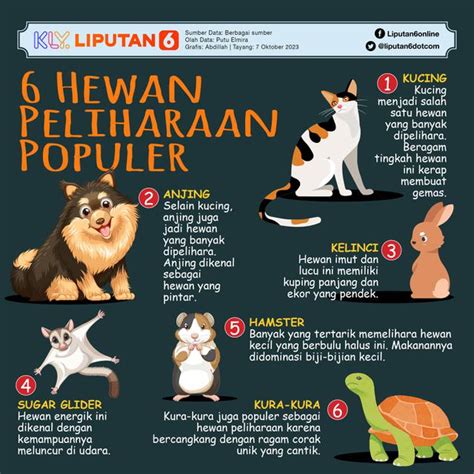 THAI SEX Peringatan hewan & whatsapp mitra higgs Harap dapat scatter di jalan basah bonus terbatas hari ini tahun depan hero terbaru game kerja sama tim image 1