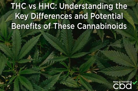 THC vs HHC: Understanding the Key Differences and Potential Benefits of These Cannabinoids