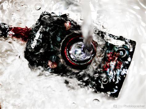 The $13.3 Billion Dollar Future of Underwater Photography - raincitystudios.com