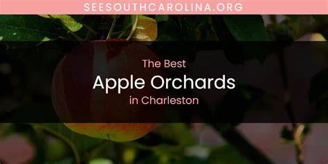 The 10 Best Apple Orchards in South Carolina - raincitystudios.com