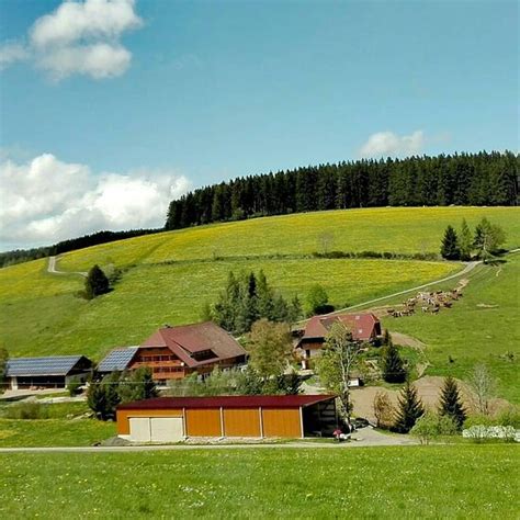 THE 10 BEST Black Forest Campgrounds - Tripadvisor - balustradellc