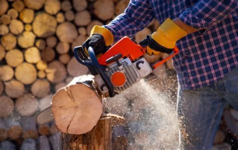 The 10 Best Chainsaws for Clearing Trees and Cutting Firewood - balustradellc