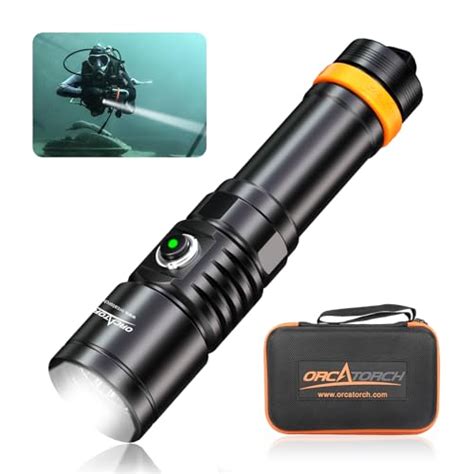 The 10 Best Dive Light - balustradellc