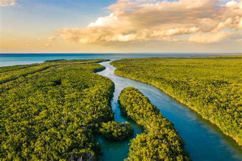 THE 10 BEST Everglades National Park Tours & Excursions