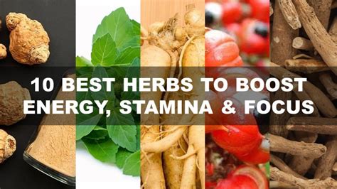 The 10 Best Herbs to Boost Energy and Focus - balustradellc