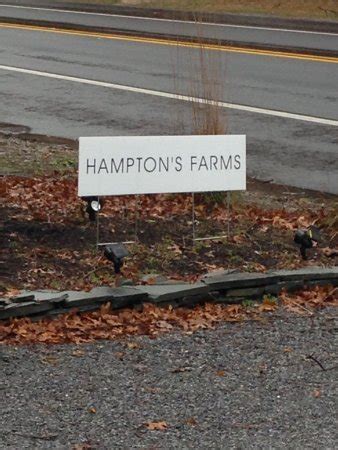 THE 10 BEST Hamptons Farms (with Photos) - Tripadvisor