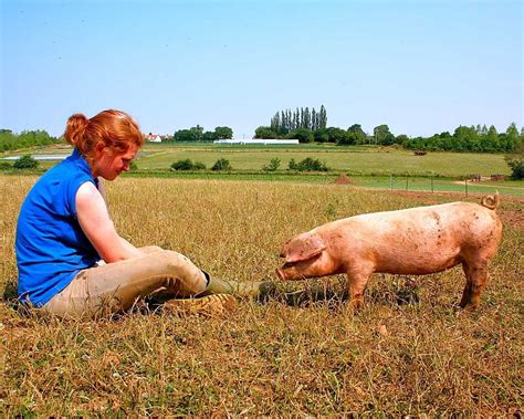 THE 10 BEST Hertfordshire Farms (with Photos) - Tripadvisor