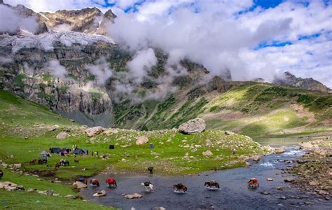 THE 10 BEST Kashmir Valleys (2026) - with Reviews - Tripadvisor - balustradellc