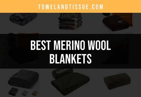 The 10 Best Merino Wool Blankets - raincitystudios.com