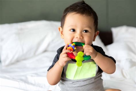 The 10 Best Non-Toxic Teething Toys for Babies - LeafScore - balustradellc