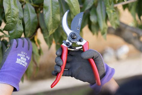 The 10 Best Pruning Shears for Home Gardeners - balustradellc