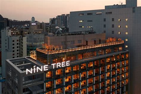 THE 10 BEST Restaurants Near Nine Tree Hotel Myeong-dong