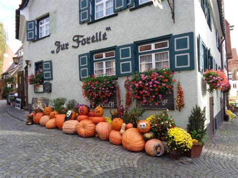 THE 10 BEST Restaurants in Ulm - Updated April 2024 - Tripadvisor