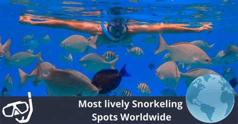 THE 10 BEST Snorkeling Resorts in Indonesia - Tripadvisor - balustradellc