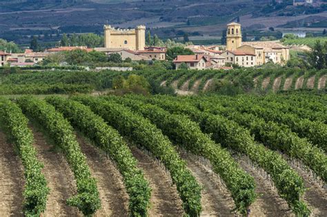 THE 10 BEST Spain Wineries & Vineyards - Tripadvisor