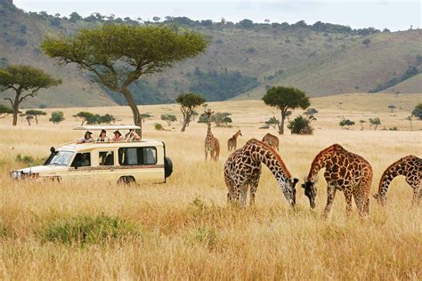 THE 10 BEST Things to Do Near Yazan Tours And Safaris