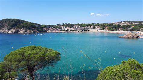 THE 10 CLOSEST Hotels to La Fosca Beach - tripadvisor.com.au