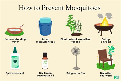 The 10 Most Effective Ways to Get Rid of Mosquitoes … - balustradellc