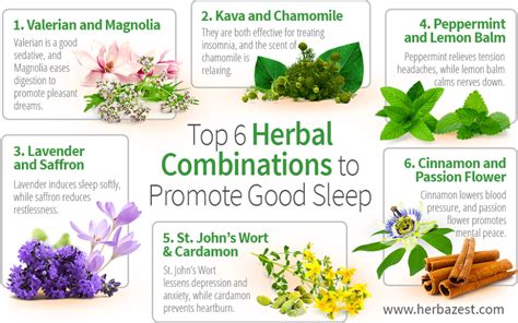 The 11 Best Herbs for Sleep & Insomnia - The … - balustradellc