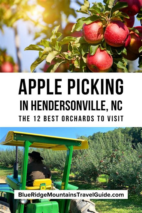 The 12 Best Hendersonville Apple Orchards to Visit - raincitystudios.com