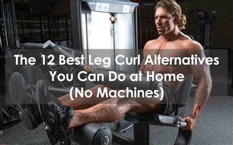 The 12 Best Leg Curl Alternatives You Can Do At … - balustradellc