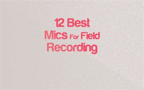 The 12 Best Microphones For Field Recording 2025 - balustradellc