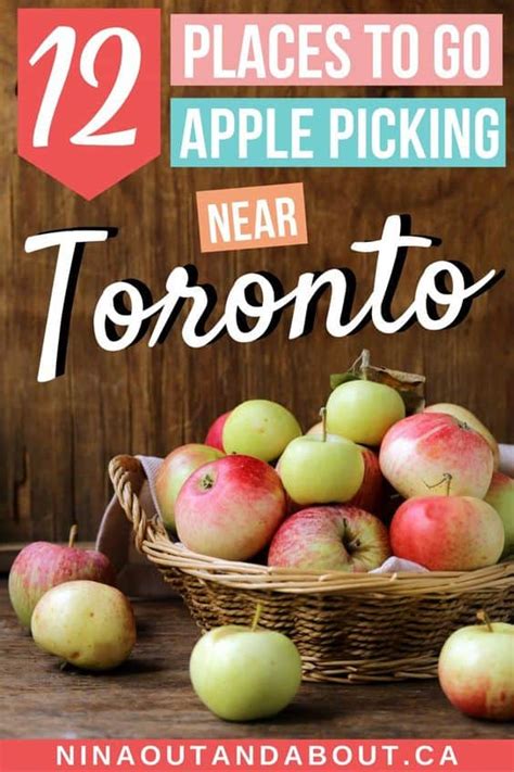 The 12 Best Places to Go Apple Picking Near Toronto - raincitystudios.com