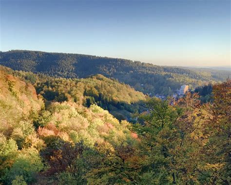 THE 15 BEST Germany Forests (2026) - Tripadvisor - balustradellc