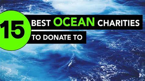 The 15 Best Ocean Charities - American Oceans - raincitystudios.com
