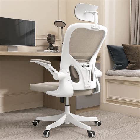 The 15 Very Best Ergonomic Office Chairs - balustradellc