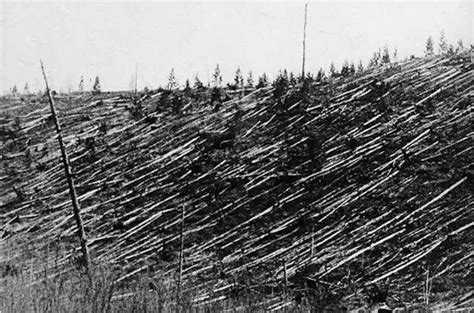 The 1908 Tunguska event and forestfalls - wintechmobiles.com
