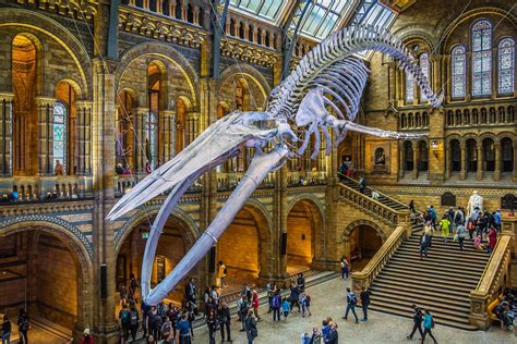The 20 best museums in London 2026 - balustradellc