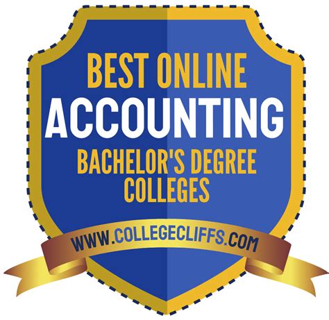 The 20 Best Online Bachelors in Accounting Degrees - balustradellc