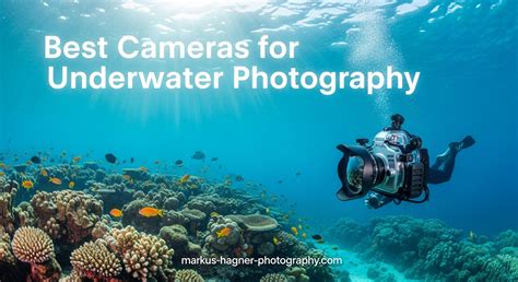 The 2026 Guide to Underwater Photography - Insta360 - raincitystudios.com
