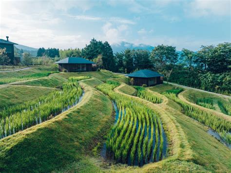 The 21 Best New & Returning TV Shows to Watch in 2026 - balustradellc