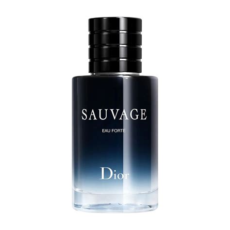 The 22 Best Fragrances for Men, Tested by Esquire - balustradellc