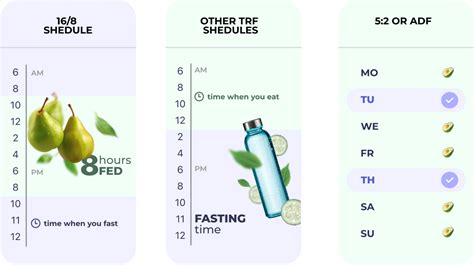The 3 best intermittent fasting schedules to lose belly fat - balustradellc