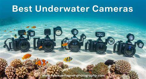 The 3 Best Underwater Cameras of 2026, Tested and Reviewed - raincitystudios.com